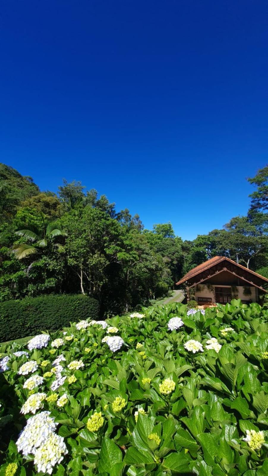 Pousada Da Mata Cunha Exterior photo